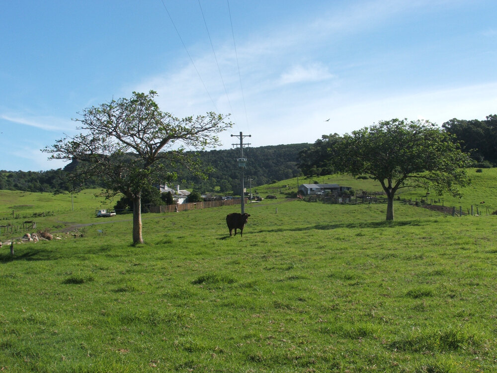 'Nancyville' Farm, Dunmore