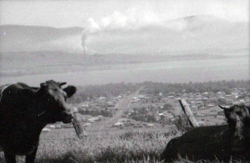 View from Stoney Range