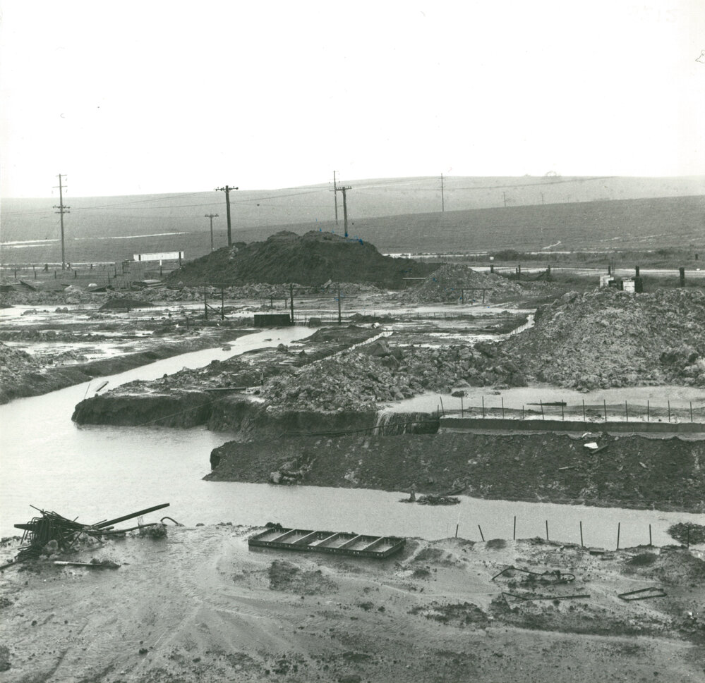 Dental Nurses Training School