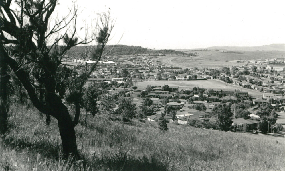 View from Mount Warrigal to Blackbutt Forest
