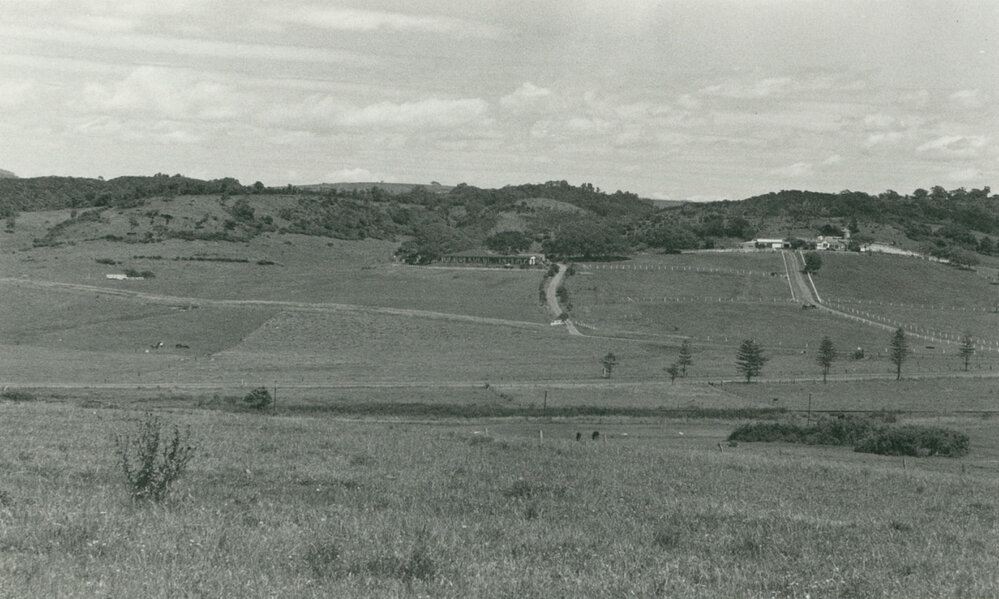Looking West to Dunmore