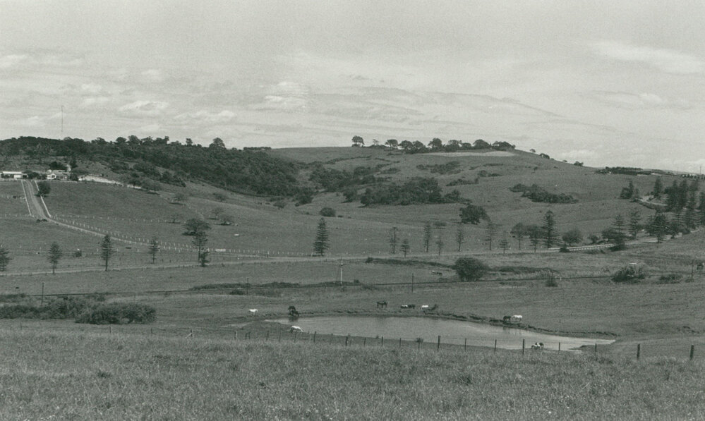 Shellharbour Road to Croom