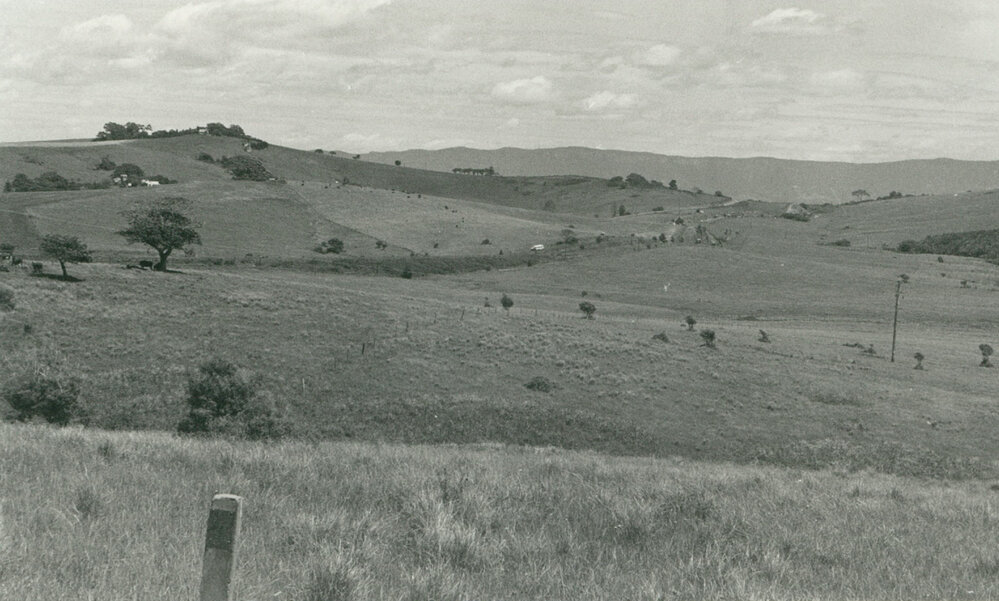 Shellharbour Road to Dunster's Hill