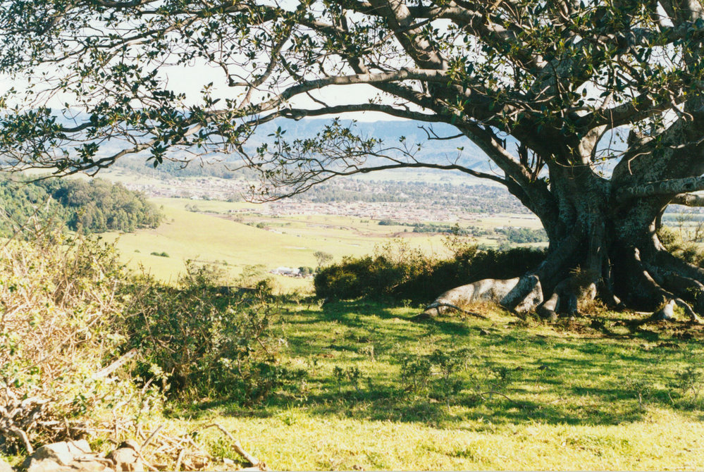 Croom School Site