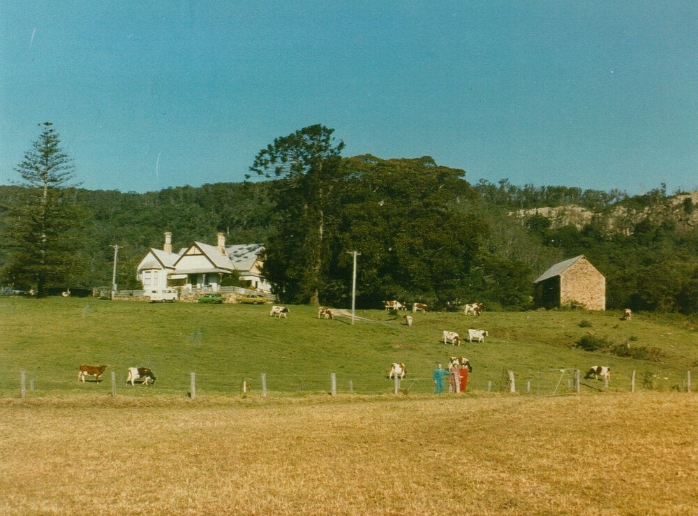 Wairanga and Buggy Shed