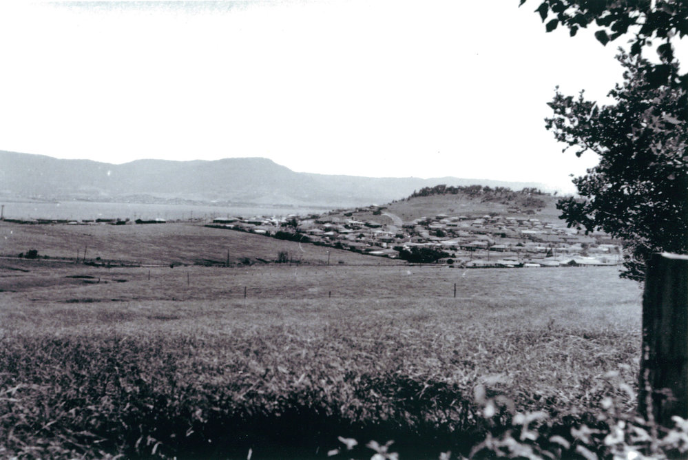 Lakeholm Farm to Mount Warrigal