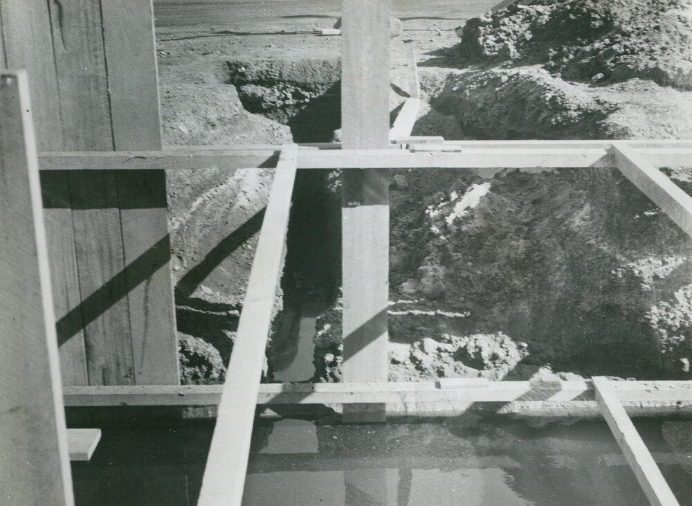 Tallawarra Power Station