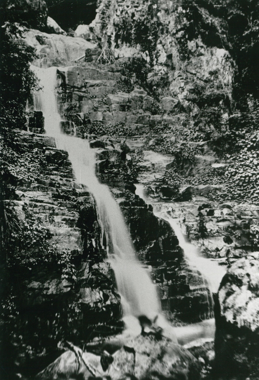 Mullengong (Platypus) Falls, Macquarie Pass