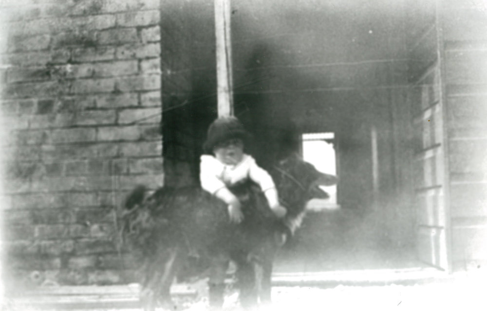Thomas Boy and Dog at St Ives Farm