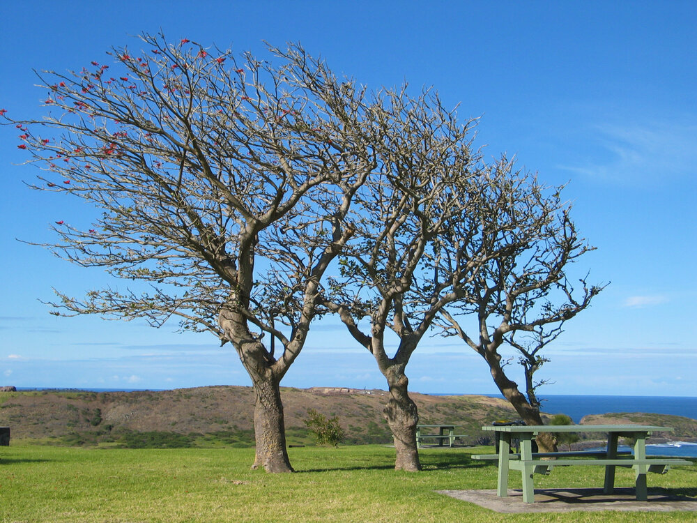 Killalea State Park