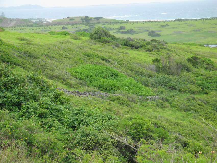 Dry Stone Wall, Killalea State Park