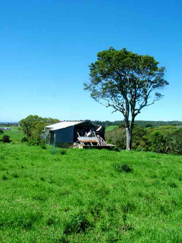 Shed at Toongla