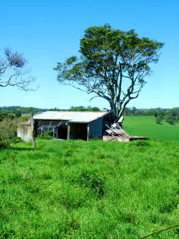 Shed at Toongla