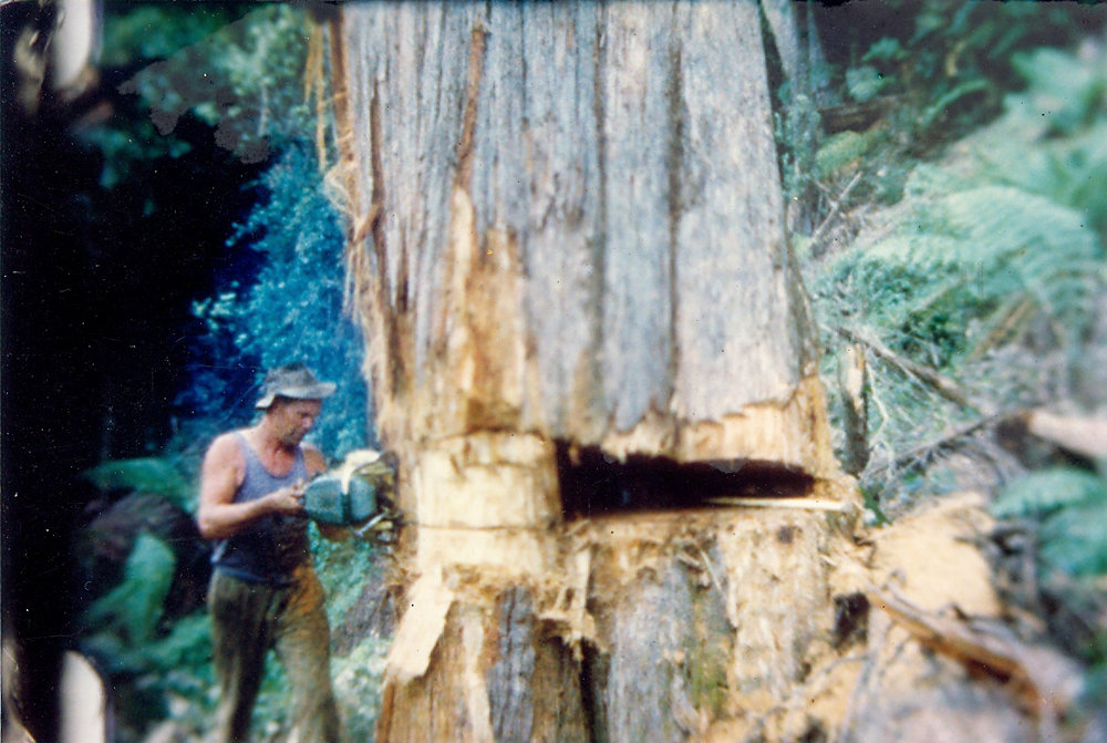 Ted Ackroyd Sawing Timber