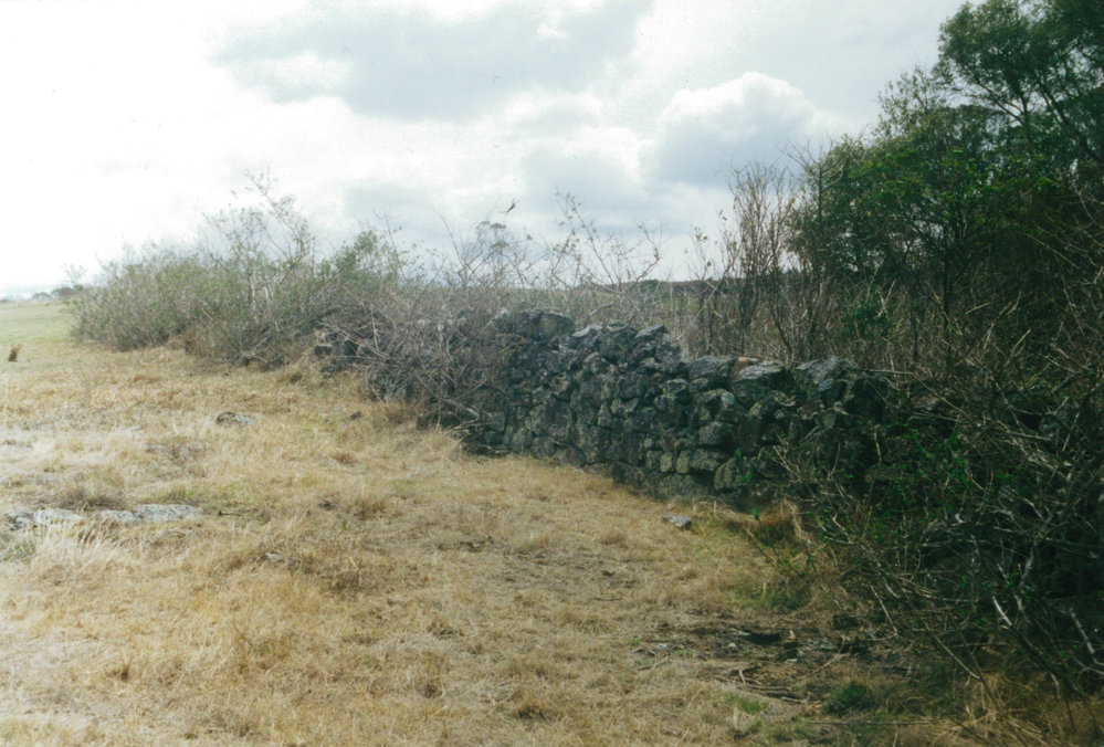 Stone Wall at 'Glenbrook', Stoney Creek