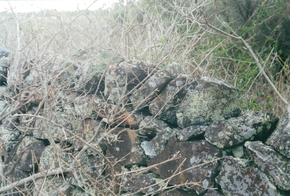 Stone Wall at 'Glenbrook', Stoney Creek