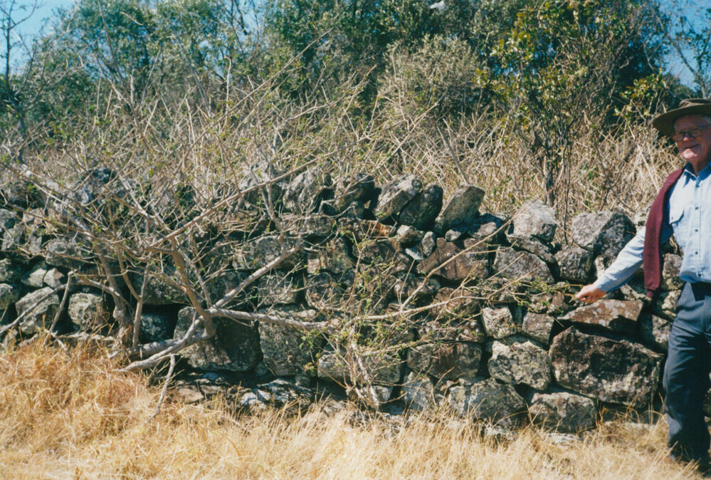 Stone Wall at 'Glenbrook', Stoney Creek
