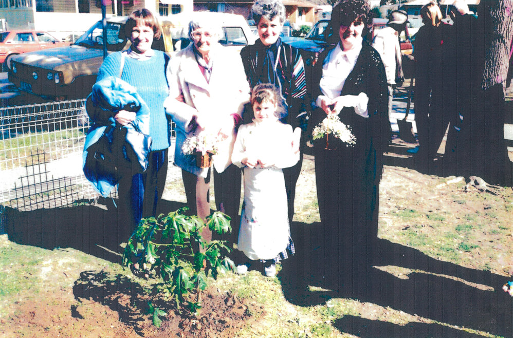 Tree Planting Day at Albion Park Public School