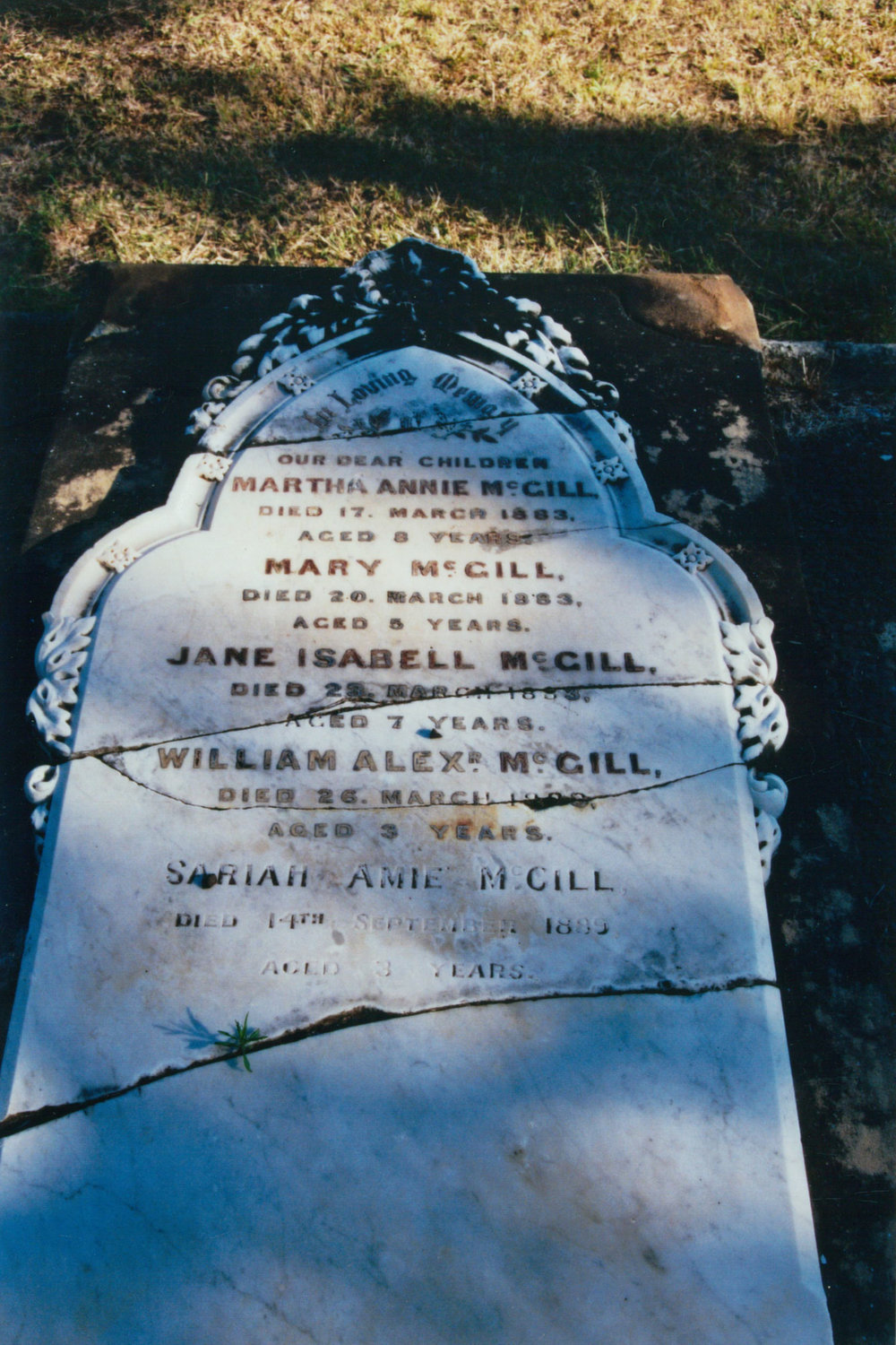 Pioneer Cemetery Albion Park