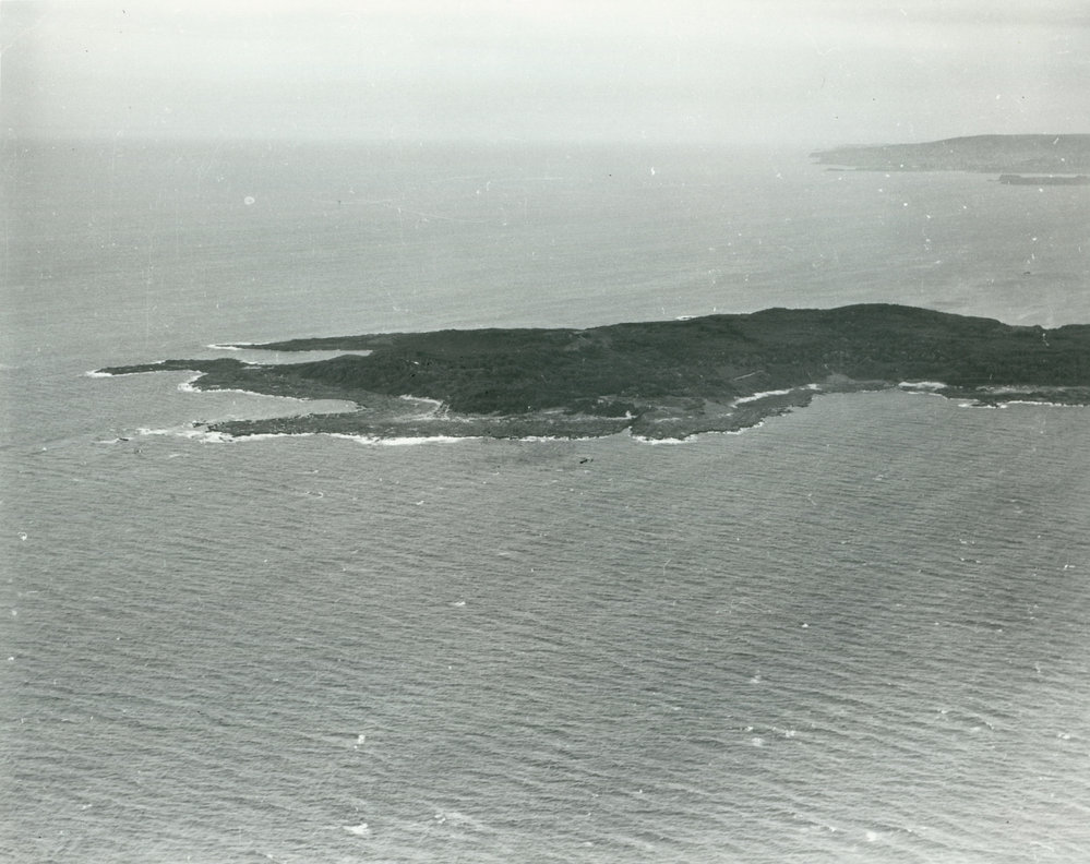 Bass Point 