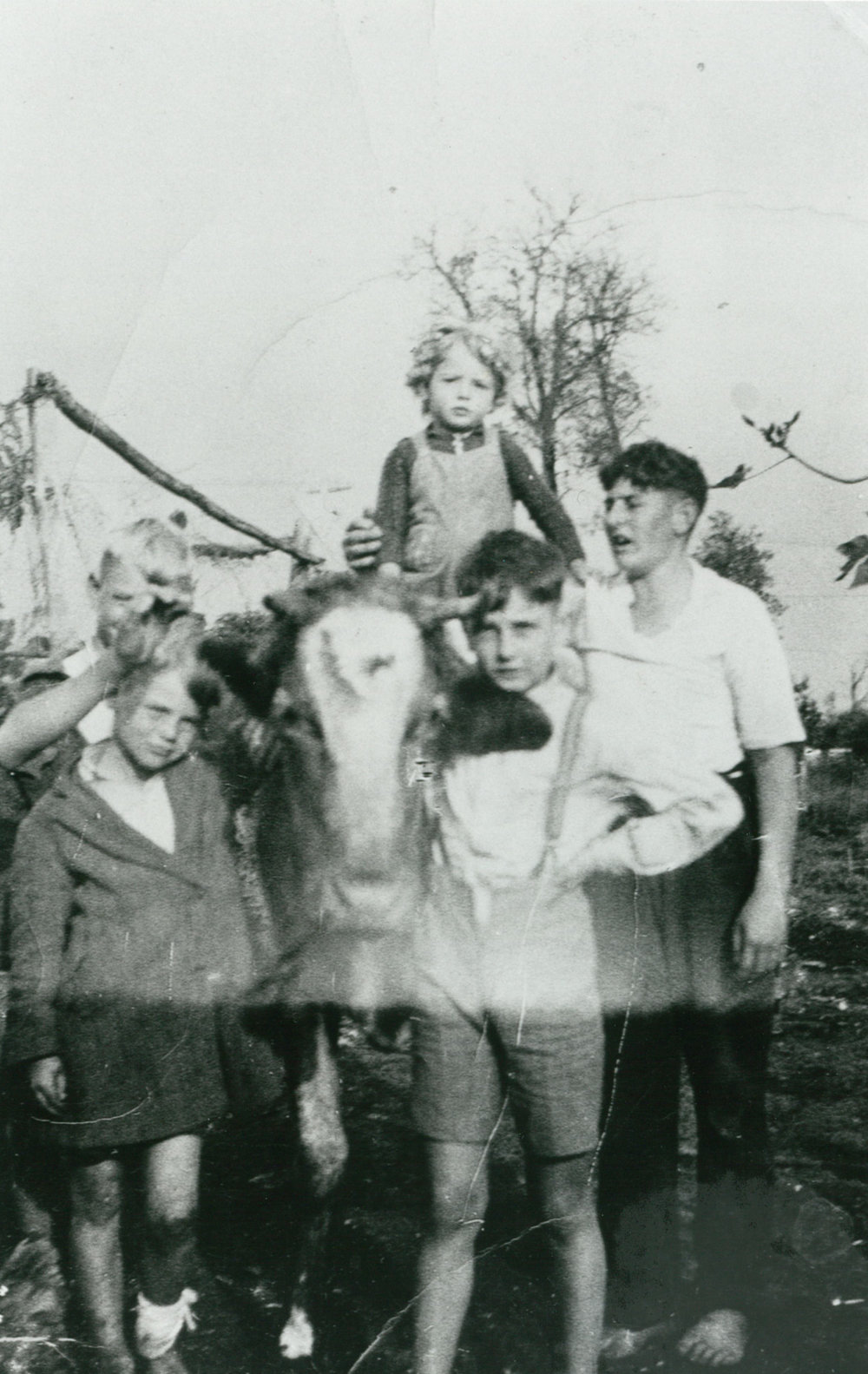 Graham Family With Pet Cow Bonnie