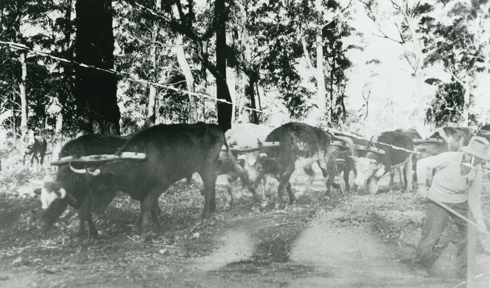 Charles Graham and Bullock Team