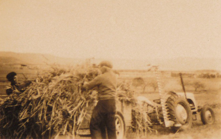 Clout's Farm, Stoney Range