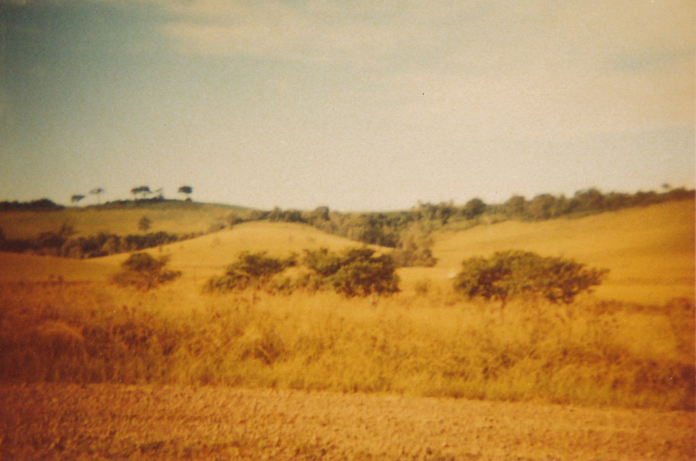 Dunster's Hill