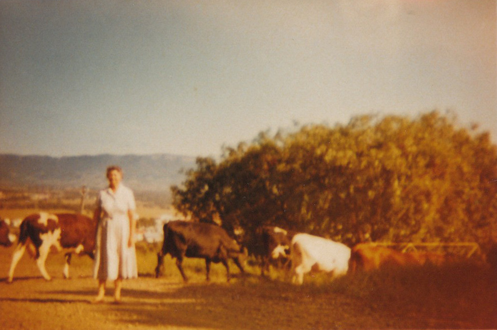 Clouts's Farm
