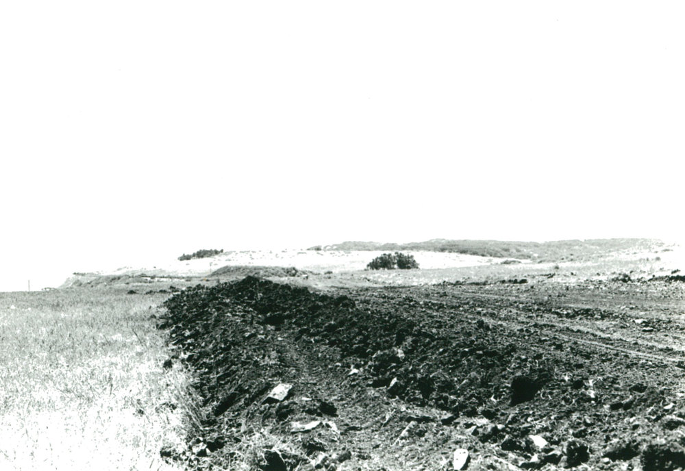 Bass Point from Bassett Park