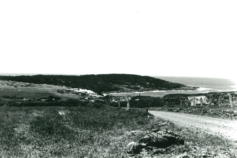 Old Bass Point Road Looking Towards Maloney's Bay