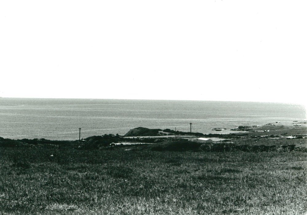 Bass Point