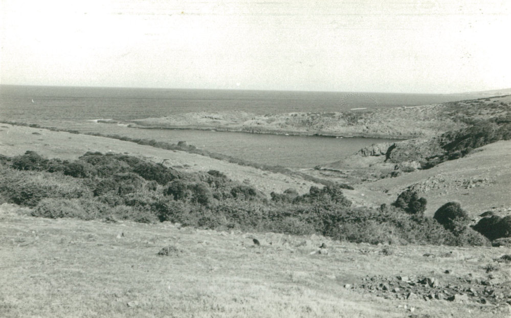 Bass Point and Maloney's Bay