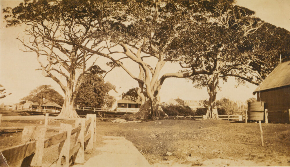 Shellharbour Village