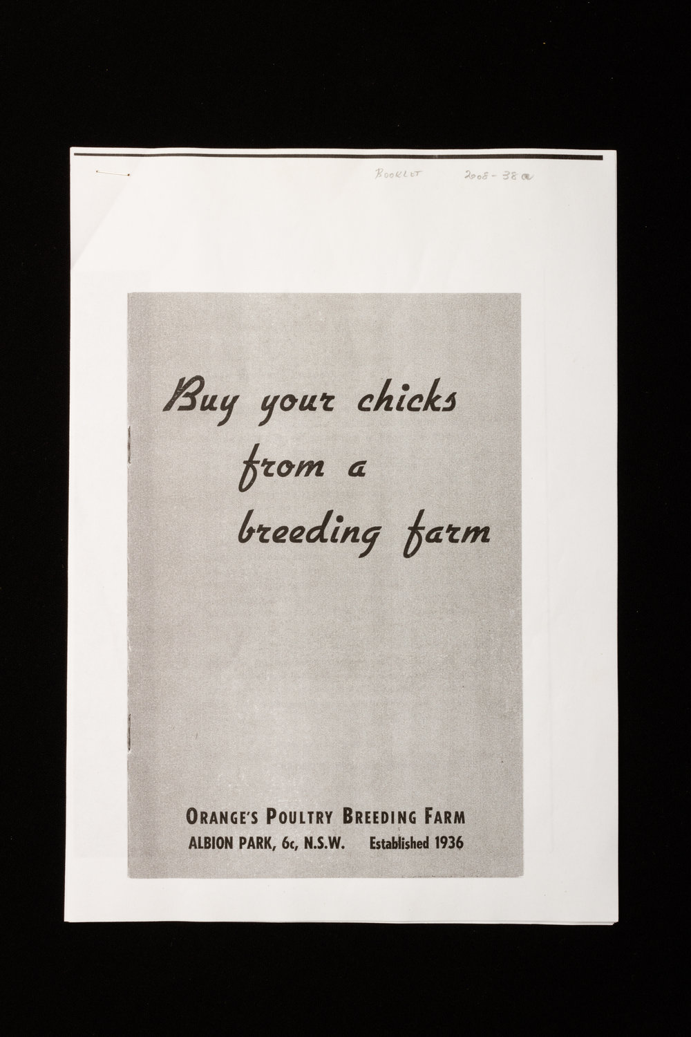 Buy Your Chicks from a Breeding Farm - Orange's Poultry Breeding Farm