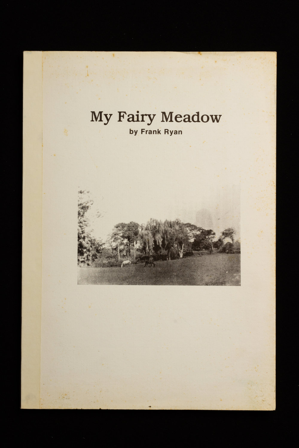My Fairy Meadow