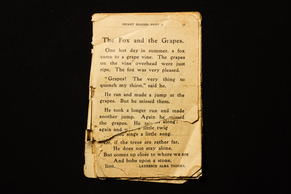 Infant Reader The Fox and the Grapes