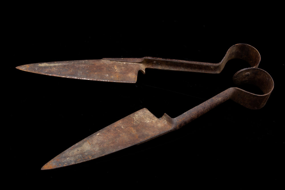 Grass Shears