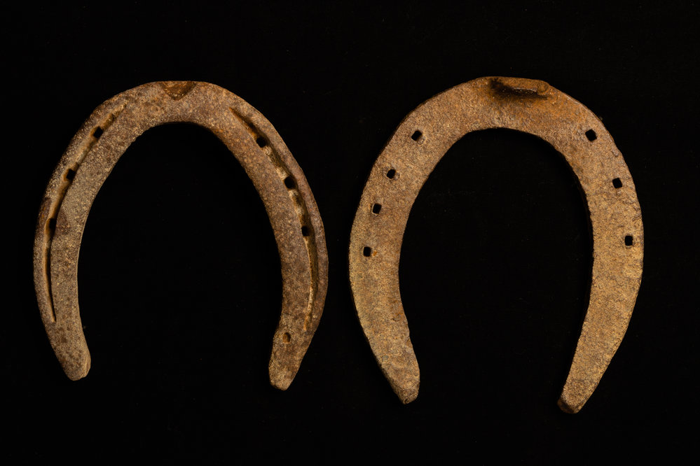 Draught Horse Shoes - Cooby Farm