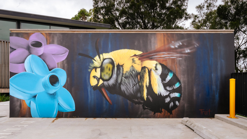 Blue Banded Bee