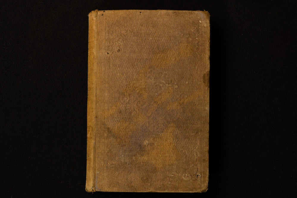 The Life Of Origin - William Thomas