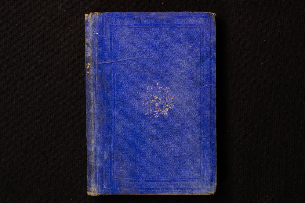 The Island Of The Rainbow: A Fairy Tale - William Thomas 