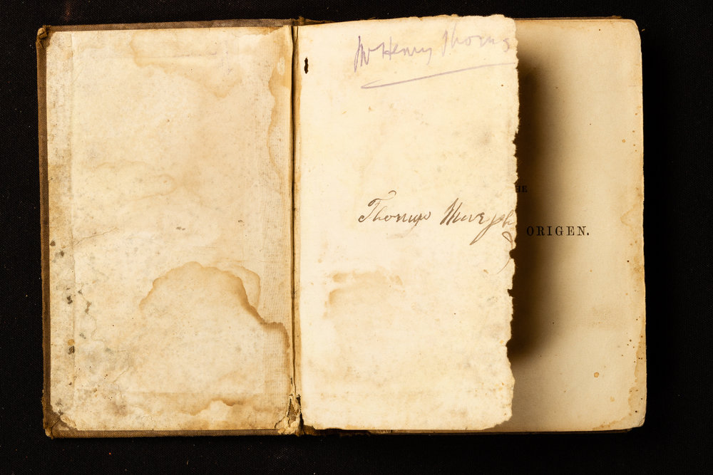 The Life Of Origen - Henry Thomas