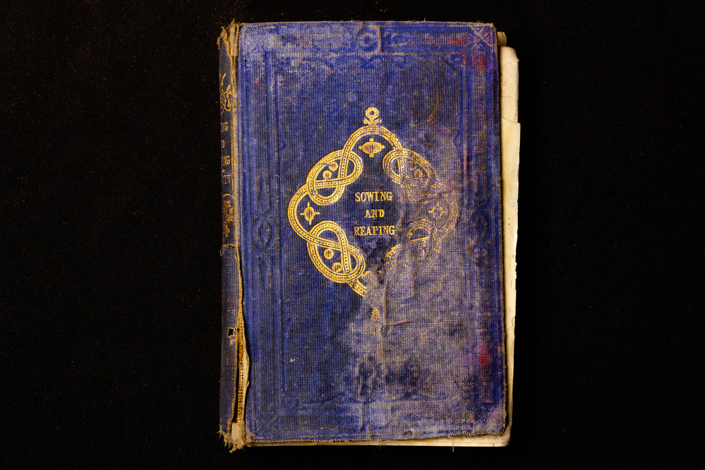 Sowing &amp; Reaping Tales For People And Their Children - Jane Thomas