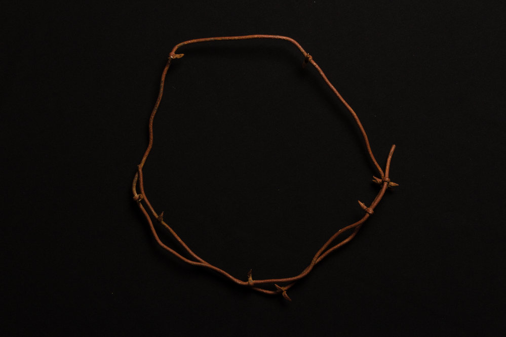Barbed Wire - Cooby Farm
