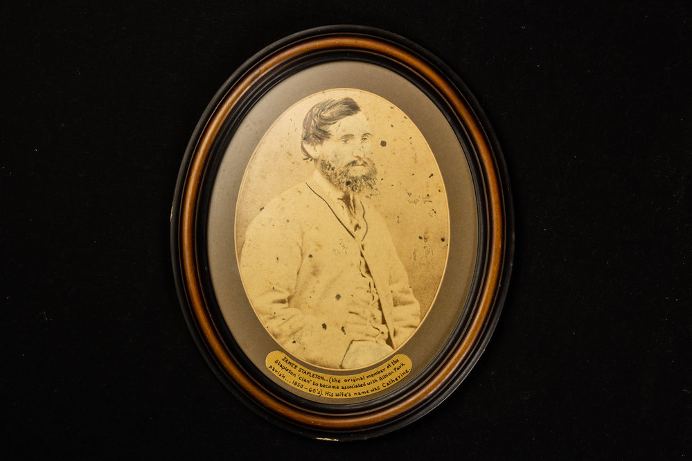 Portrait - James Stapleton