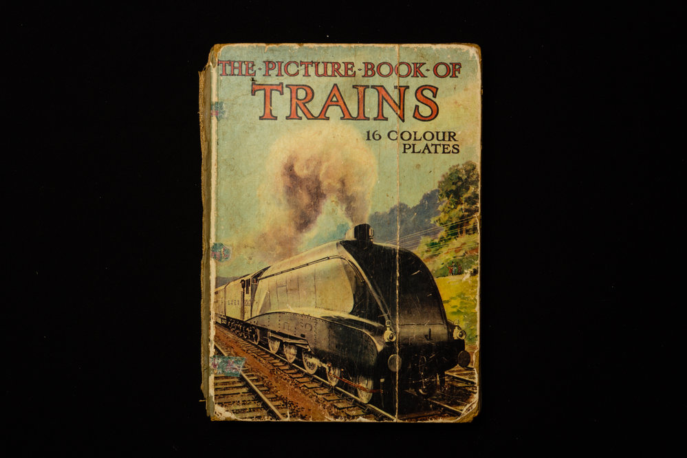 The Picture Book Of Trains 