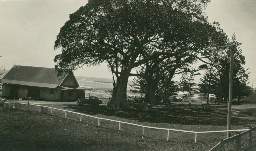 Boat Store And Figtree 