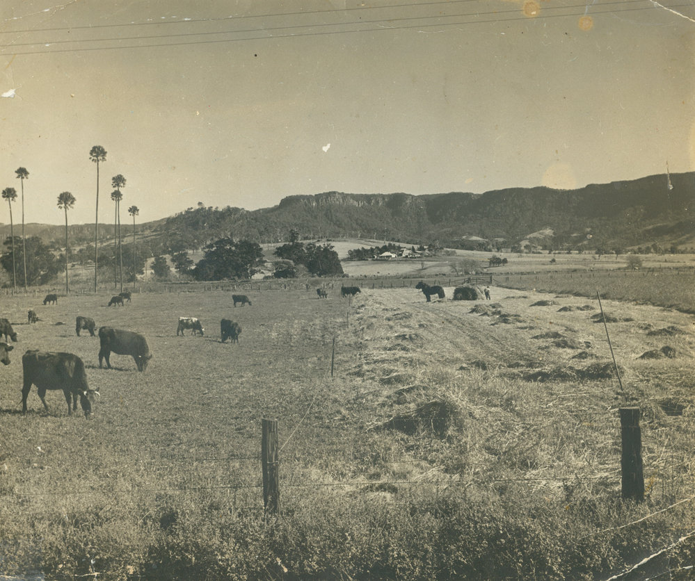 Haymaking At Roy O'Gorman's Farm 