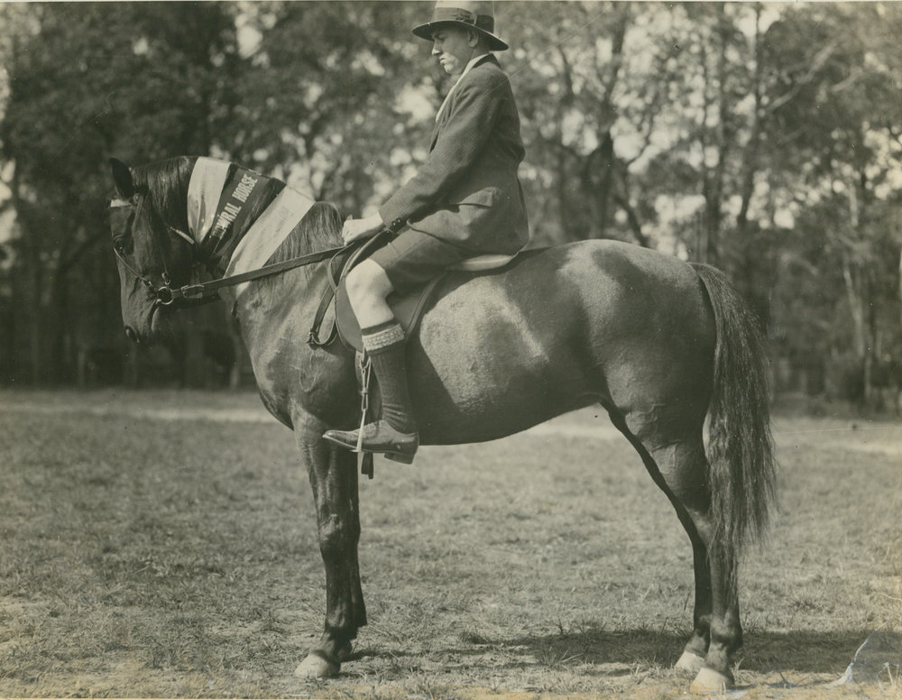 Ron O'Gorman And Pony 'Gay Boy'